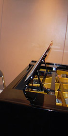 パウゼ 2004